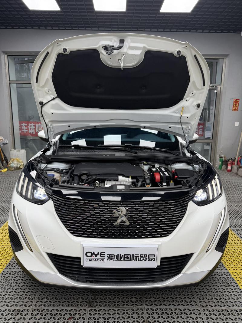 Peugeot 2008, 2023 — фото 8 из 12