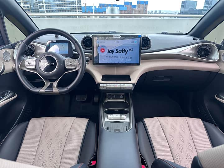 BYD Dolphin, 2024 — фото 6 из 9