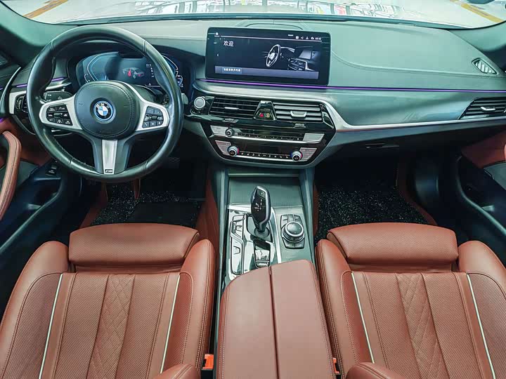 BMW 5 Series Hybrid, 2022 — фото 5 из 9