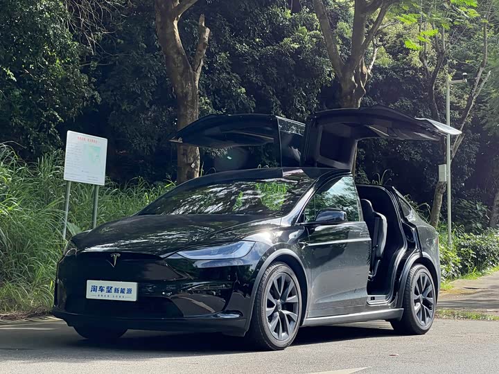Tesla Model X, 2023 — купить в Саратове под ключ