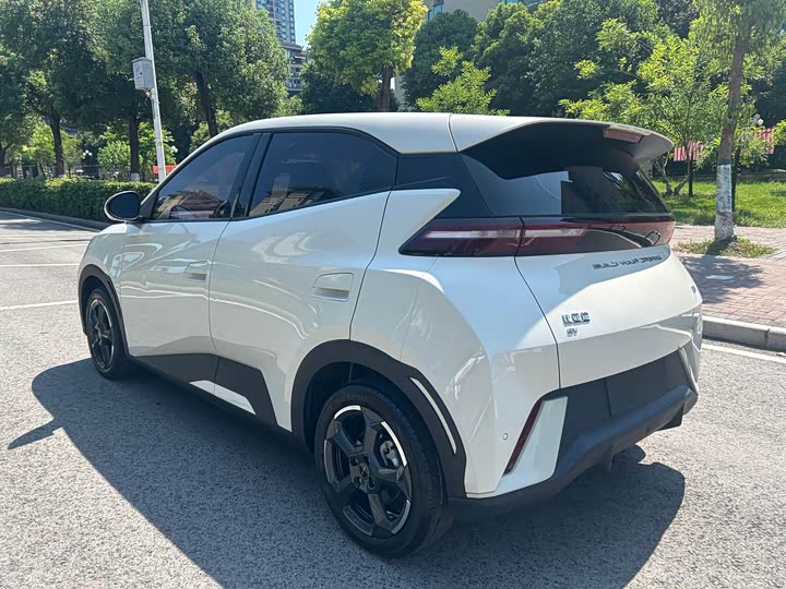 BYD Seagull, 2023 — фото 5 из 9