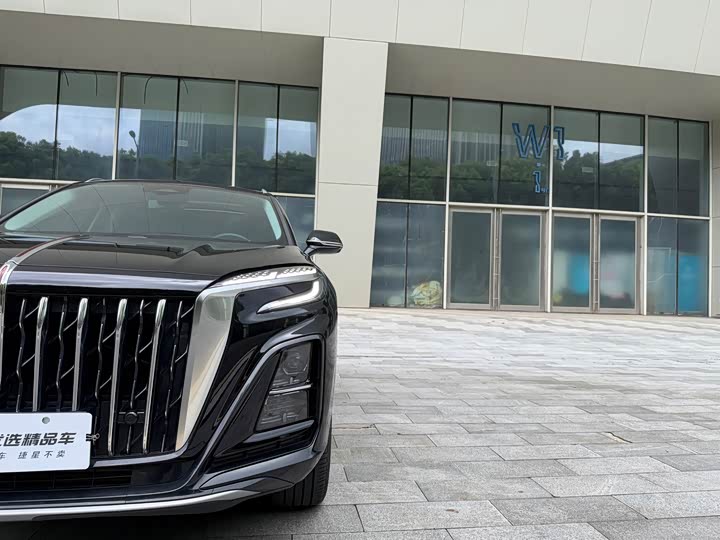 Hongqi HS3 Hybrid, 2024 — фото 9 из 9