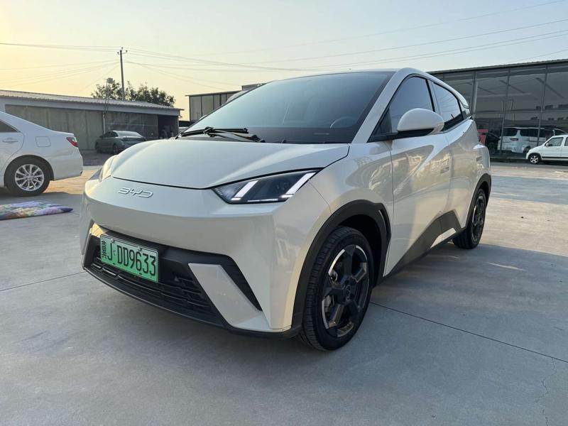 BYD Seagull, 2024 — купить в Самаре под ключ