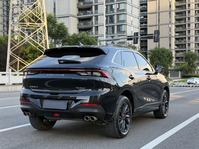 Dongfeng Forthing T5 EVO, 2022 — фото 6 из 10