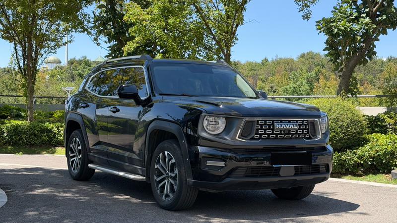 Haval H-Dog, 2023 — фото 3 из 11