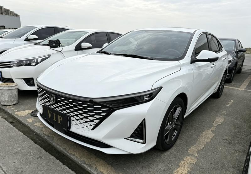 Changan Raeton Plus, 2023 — купить в Владимире под ключ