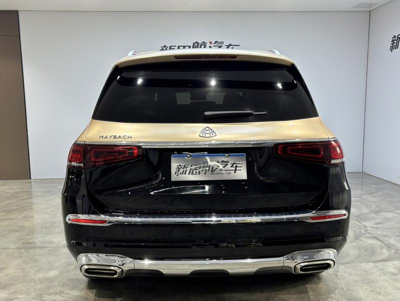 Mercedes-Benz Maybach GLS, 2022 — фото 6 из 12