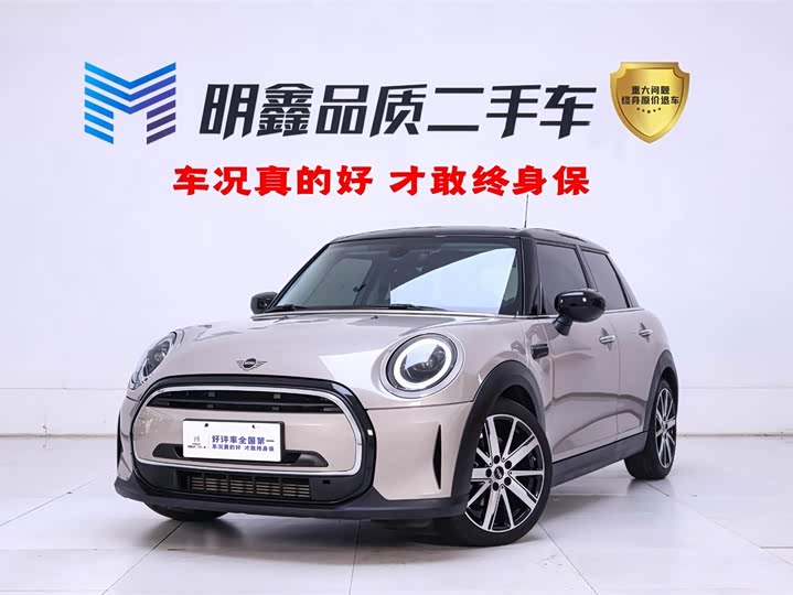 Mini Mini, 2023 — купить в Чебоксарах под ключ