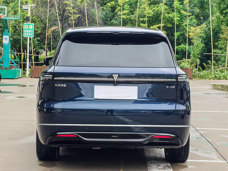 Changan Deepal S09, 2025 — фото 4 из 10