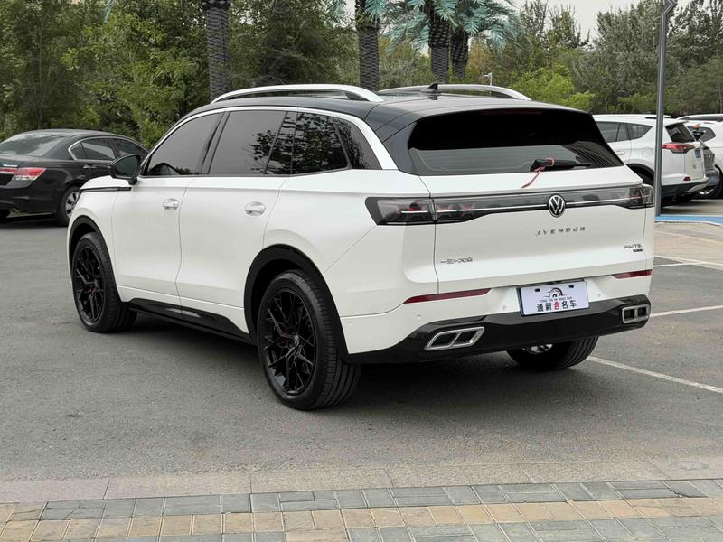 Volkswagen Tavendor, 2023 — фото 4 из 10