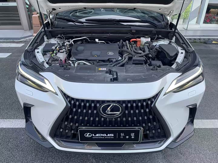 Lexus NX Hybrid, 2021 — фото 9 из 9