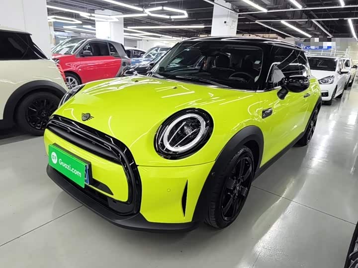 Mini Mini, 2022 — купить в Самаре под ключ