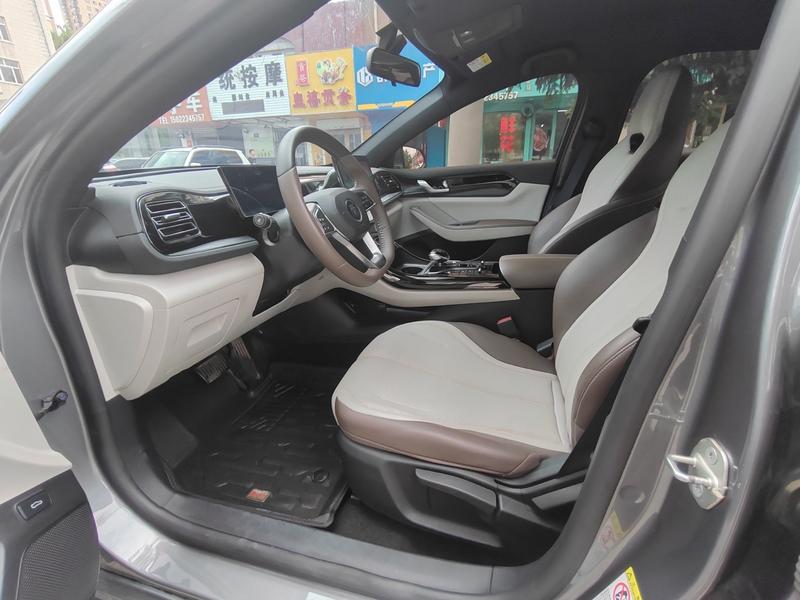 BYD Qin Plus, 2024 — фото 6 из 8