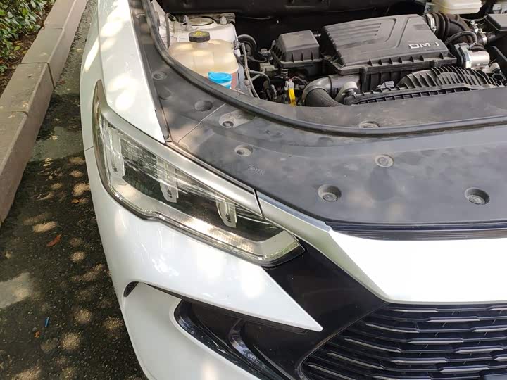 BYD Song Pro Hybrid, 2024 — фото 7 из 9