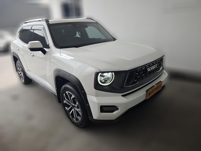 Haval H-Dog, 2023 — фото 3 из 12