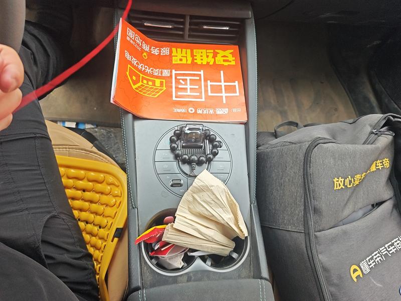 BYD Seal 06 Hybrid/EV, 2025 — фото 9 из 12