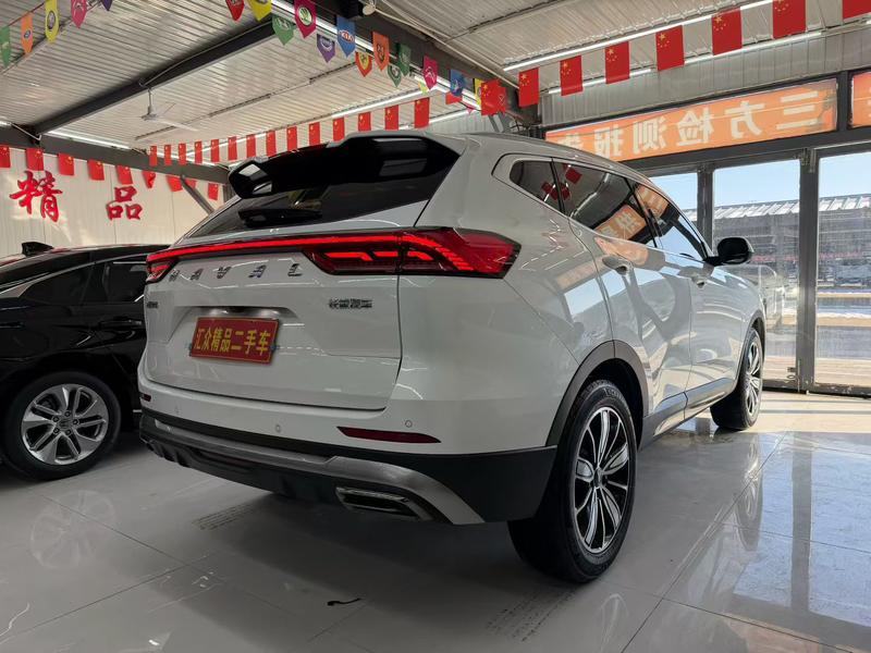 Haval H6, 2023 — фото 6 из 12