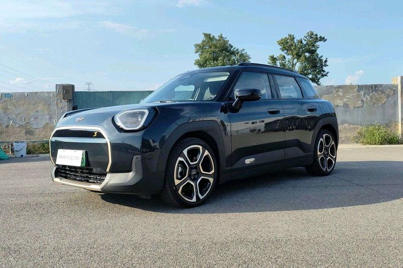 Mini Aceman, 2025 — купить в Брянске под ключ