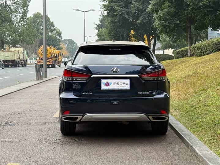Lexus RX, 2022 — фото 4 из 9