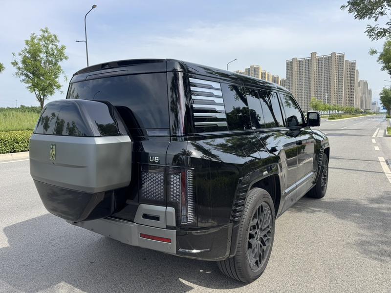 BYD Yangwang U8, 2023 — фото 6 из 10