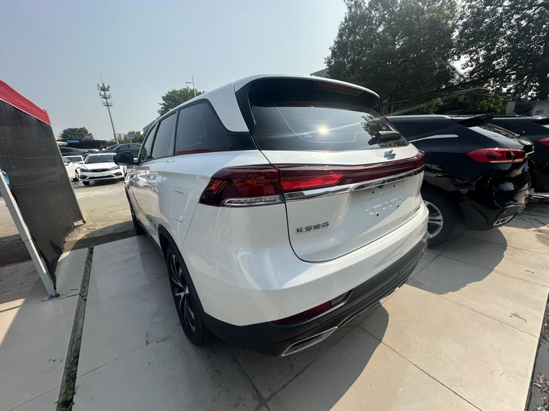 Changan Oshan X7 Plus, 2023 — фото 4 из 12