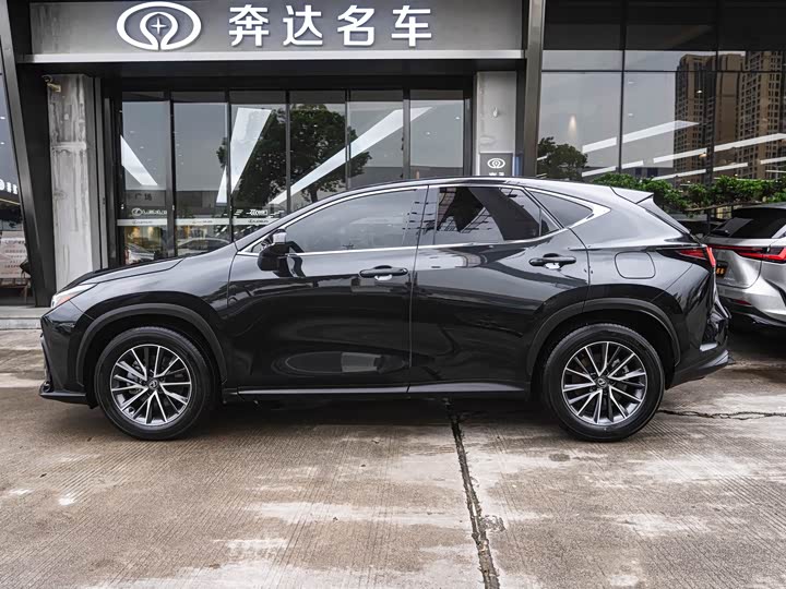Lexus NX, 2024 — фото 4 из 9
