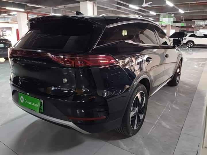 BYD Tang Hybrid/EV, 2024 — фото 7 из 9