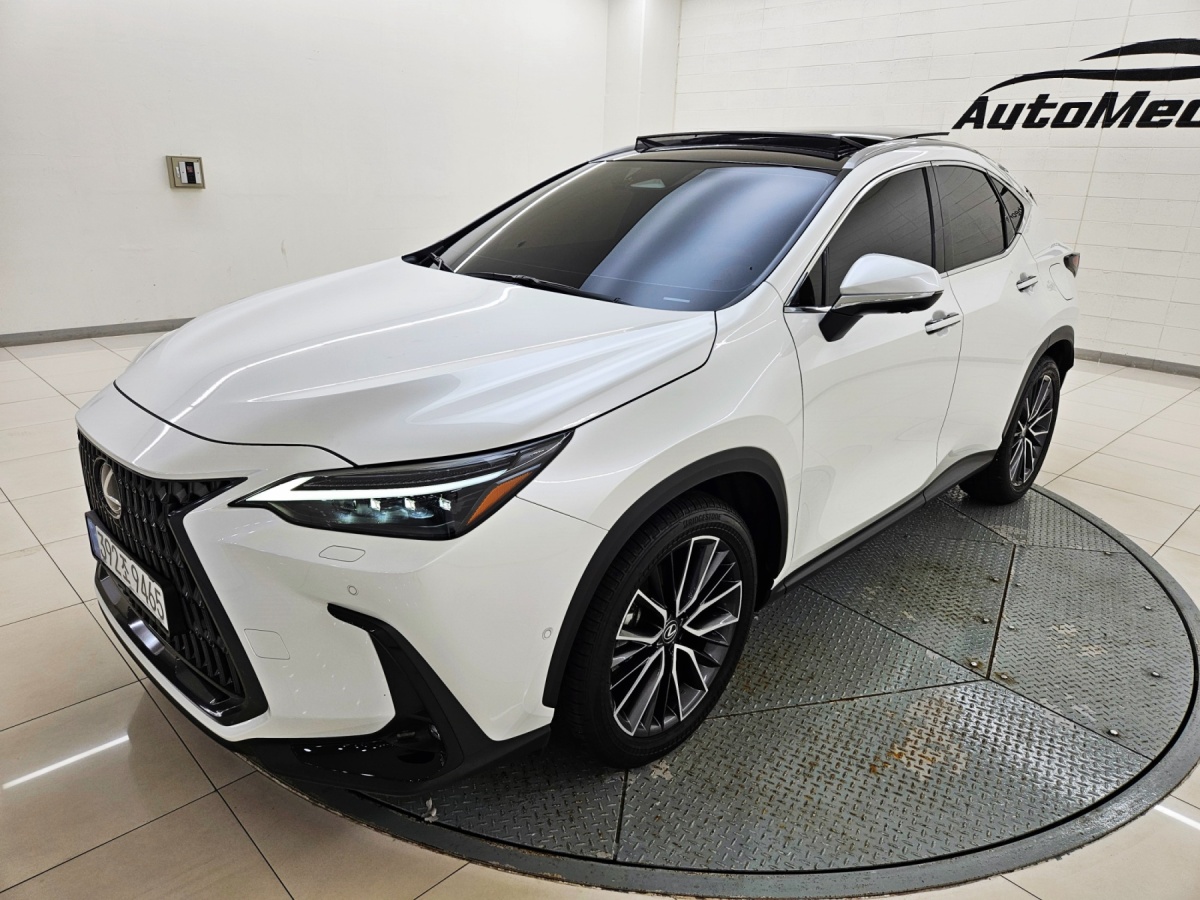 Lexus NX, 2025 — фото 3 из 12