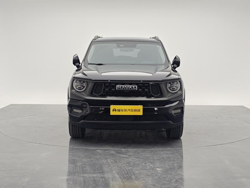 Haval H-Dog Hybrid, 2023 — фото 2 из 12