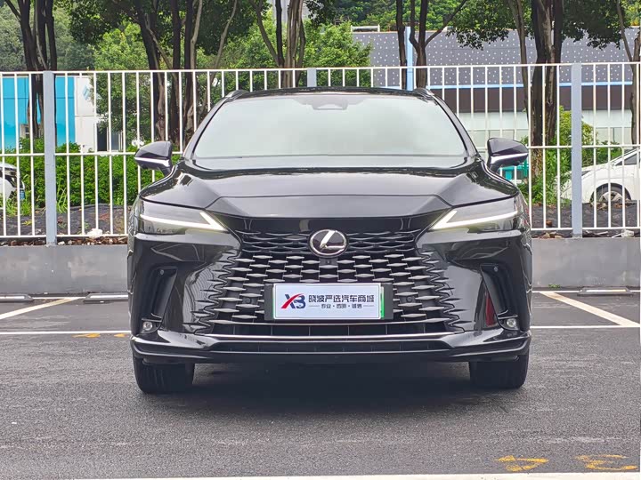 Lexus RX Hybrid, 2023 — фото 2 из 9