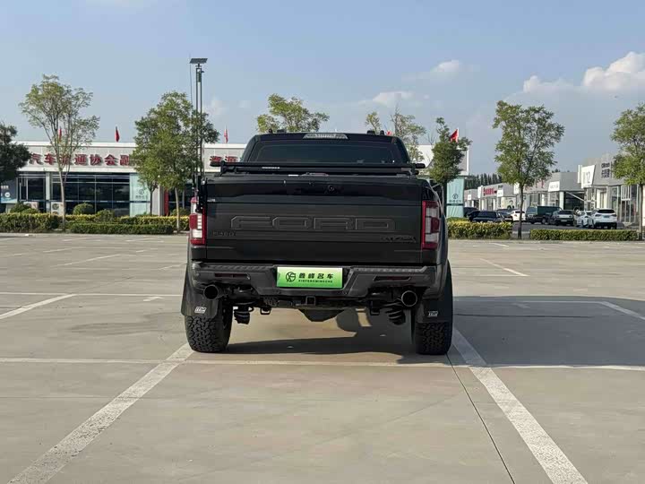 Ford F-150 Raptor, 2022 — фото 6 из 9