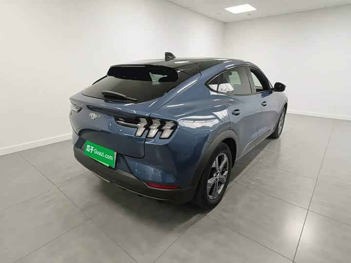 Ford Mustang Mach-E, 2024 — фото 7 из 9