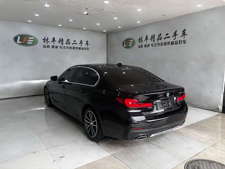 BMW 5 Series Hybrid, 2023 — фото 7 из 9