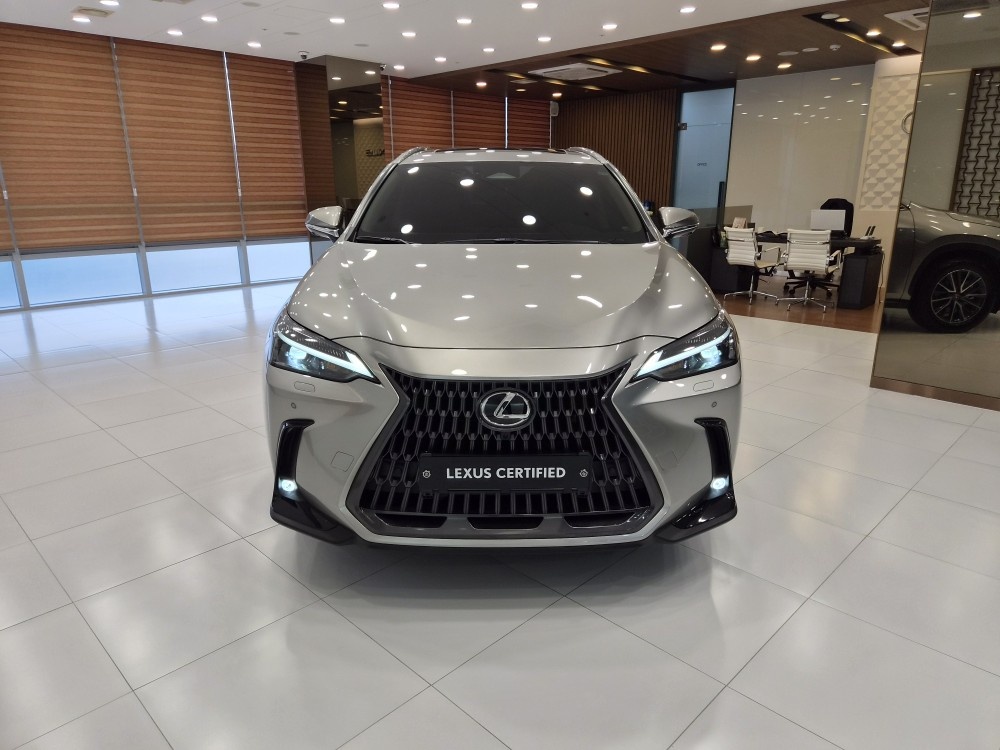 Lexus NX, 2025 — фото 3 из 12