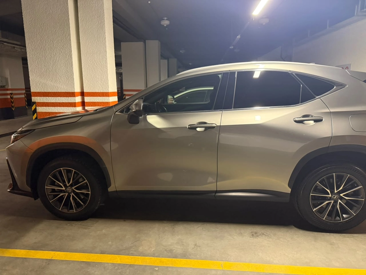 Lexus NX, 2022 — фото 3 из 7