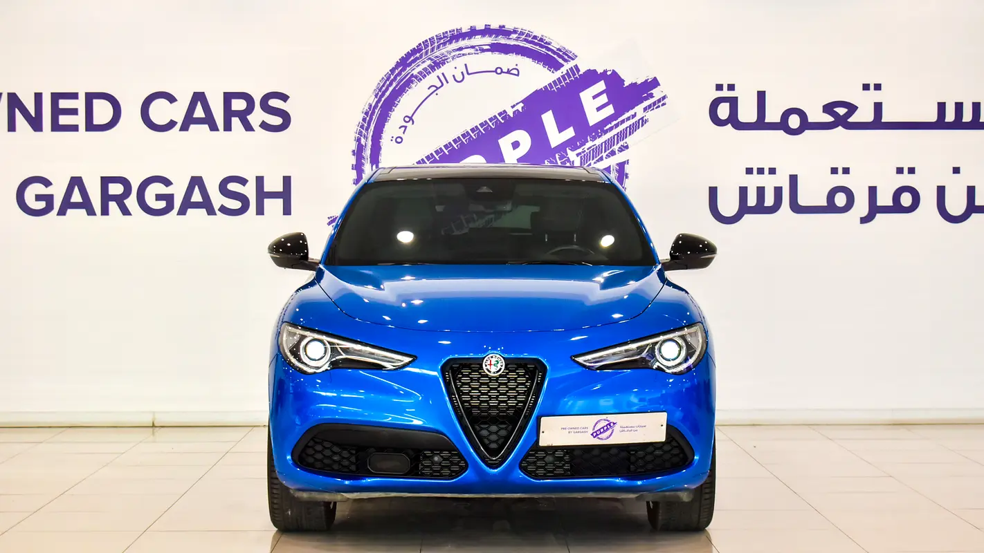 Alfa Romeo Stelvio, 2022 — фото 2 из 10