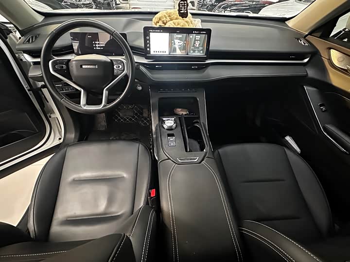 Haval H6 Hybrid, 2022 — фото 9 из 9