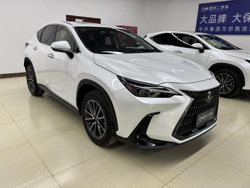 Lexus NX, 2023 — фото 2 из 12