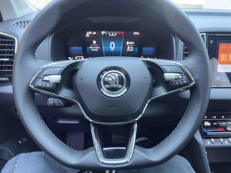 Skoda Karoq, 2025 — фото 11 из 12