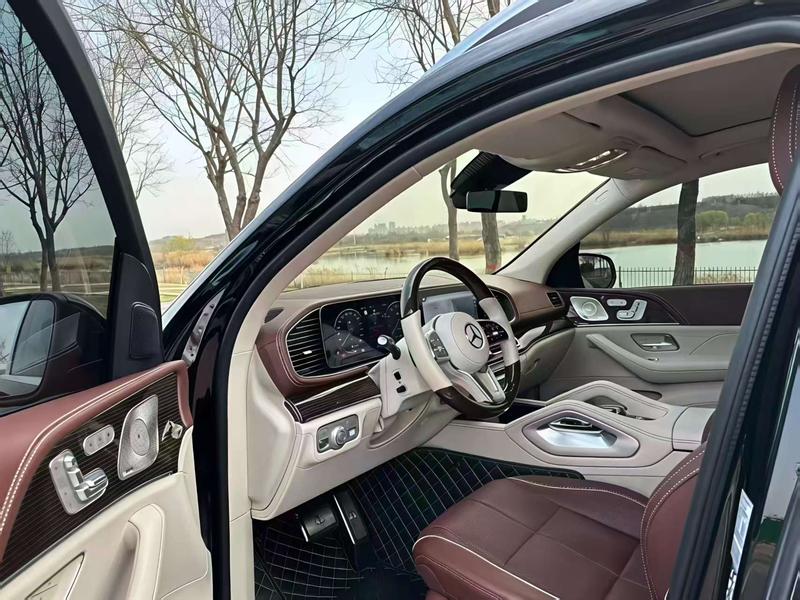 Mercedes-Benz Maybach GLS, 2022 — фото 5 из 8
