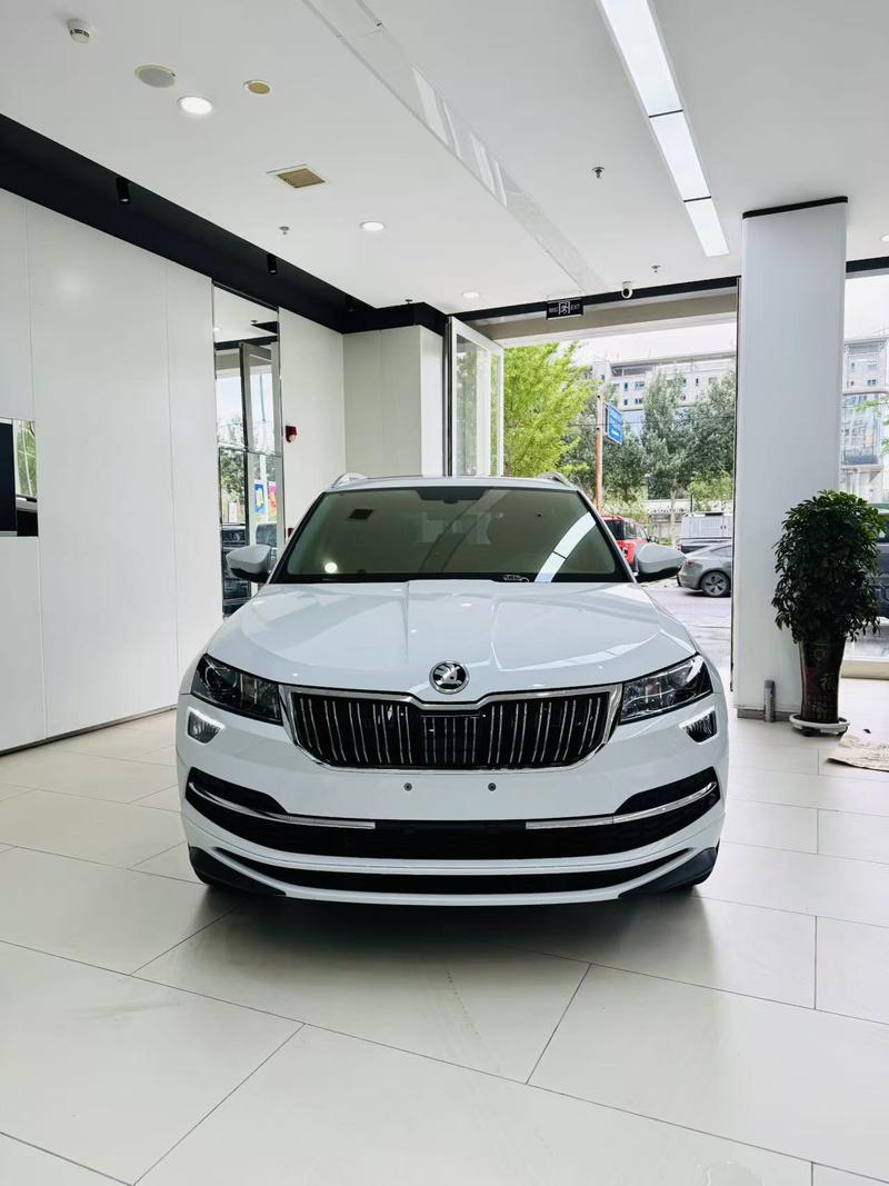 Skoda Karoq, 2023 — фото 2 из 12