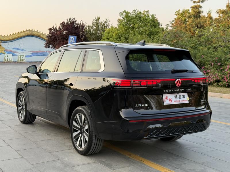 Volkswagen Teramont Pro, 2026 — фото 5 из 12