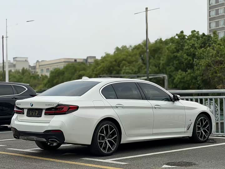BMW 5 Series, 2021 — фото 7 из 9