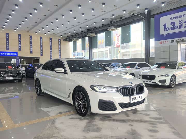 BMW 5 Series, 2021 — фото 3 из 9
