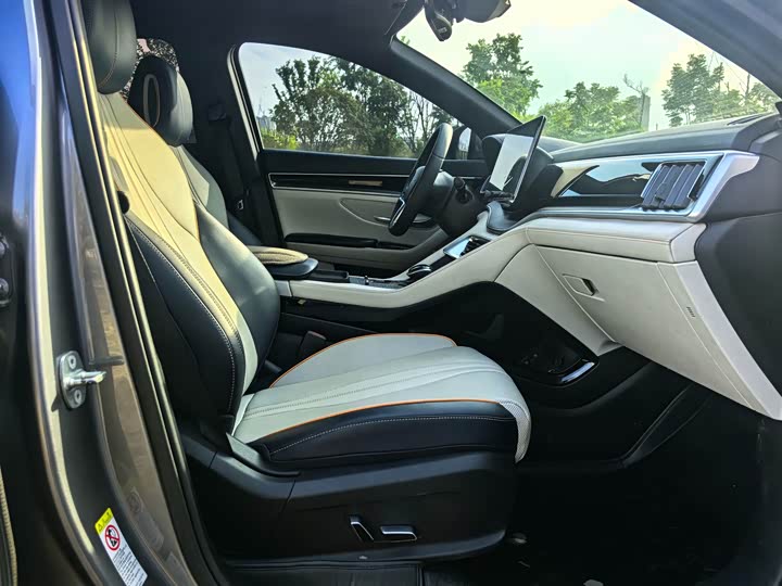 BYD Song Plus Hybrid/EV, 2022 — фото 6 из 9