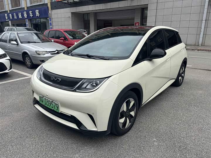 BYD Dolphin, 2024 — купить в Москве под ключ