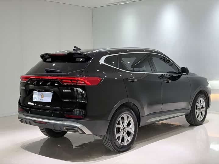 Haval H6, 2022 — фото 4 из 9