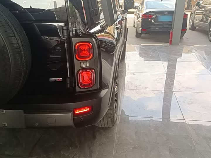 Haval Raptor Hybrid, 2023 — фото 8 из 9