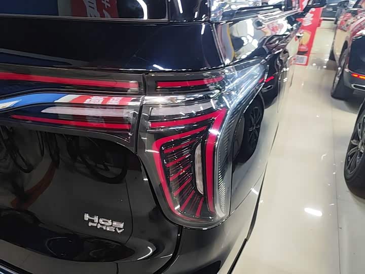Hongqi HQ9 Hybrid, 2024 — фото 8 из 9