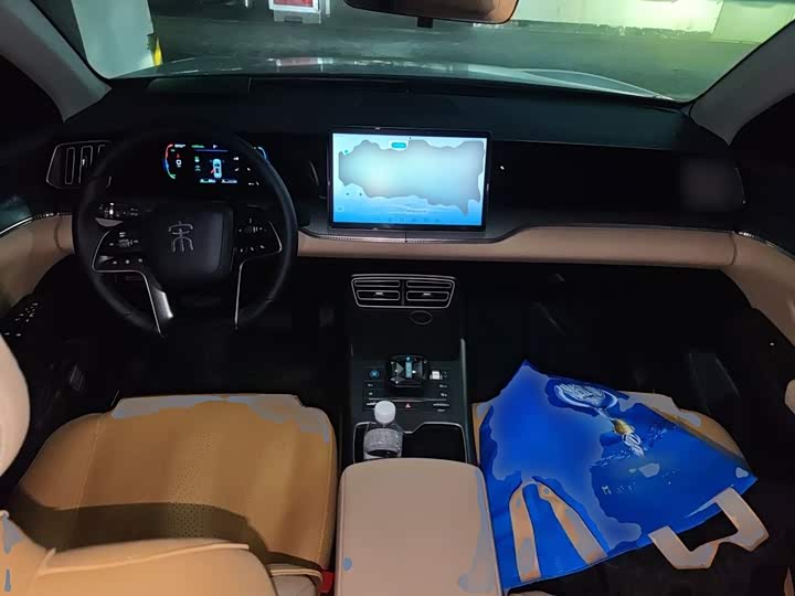 BYD Song Pro Hybrid, 2024 — фото 5 из 9